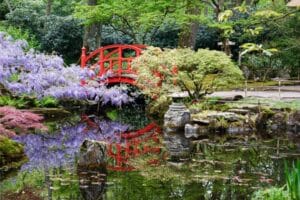 Read more about the article How do you create a Japanese garden?