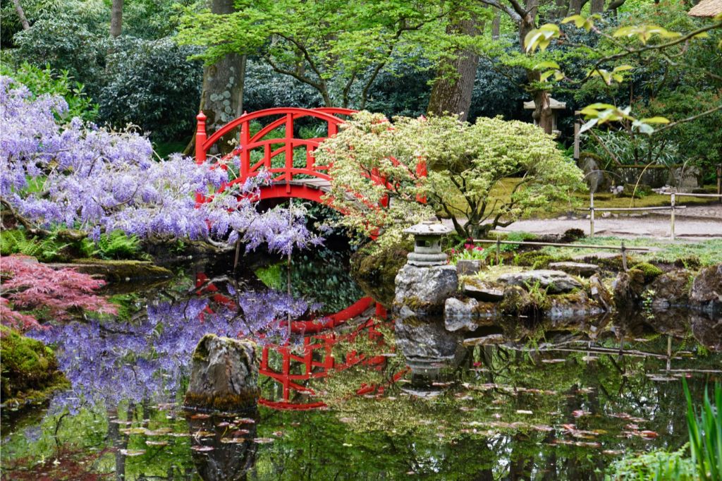 Read more about the article How do you create a Japanese garden?