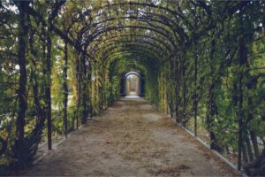 Read more about the article Everything you need to know about the different types of garden